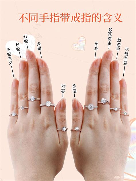 手指戒指含義 白色月季花